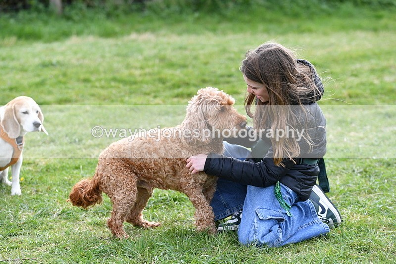 WJ5_0194 - Class 5 Best Veteran / 7 years & over