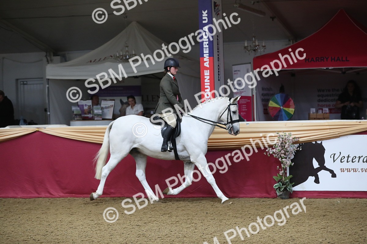 SBM_10481 - Class 102 Equitation (best rider) Adult