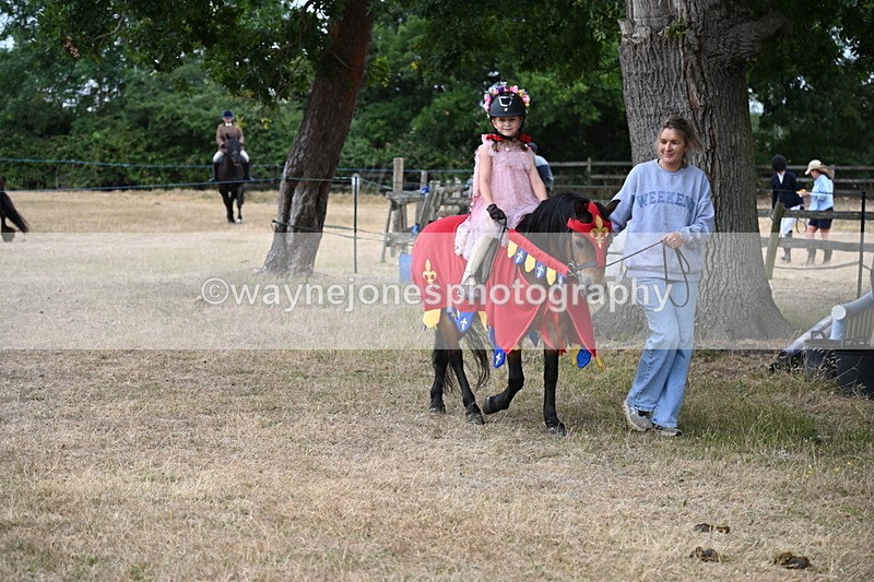 WJ6_8943 - Class 11 Fancy Dress