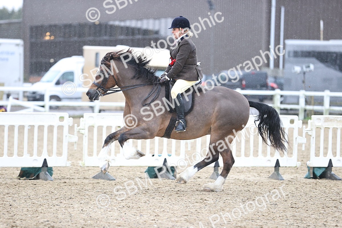 SBM_008487 - Class 33-34 - M&M Open Ridden Small-Large