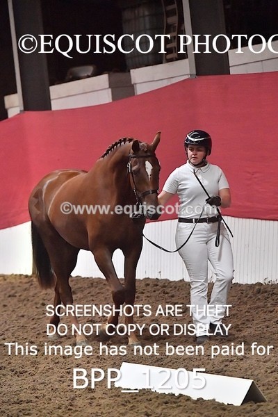 BPP_1205 - MORNING 9AM - 12PM