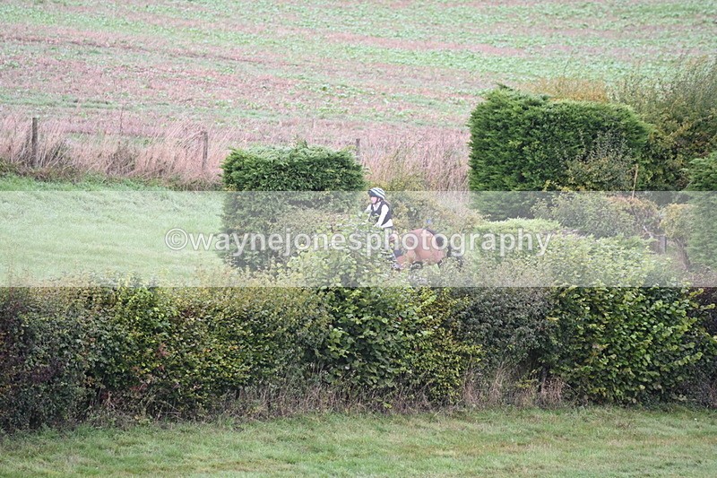 WJ6_1367 - Time 10:05 to 10:30  (3 cameras)