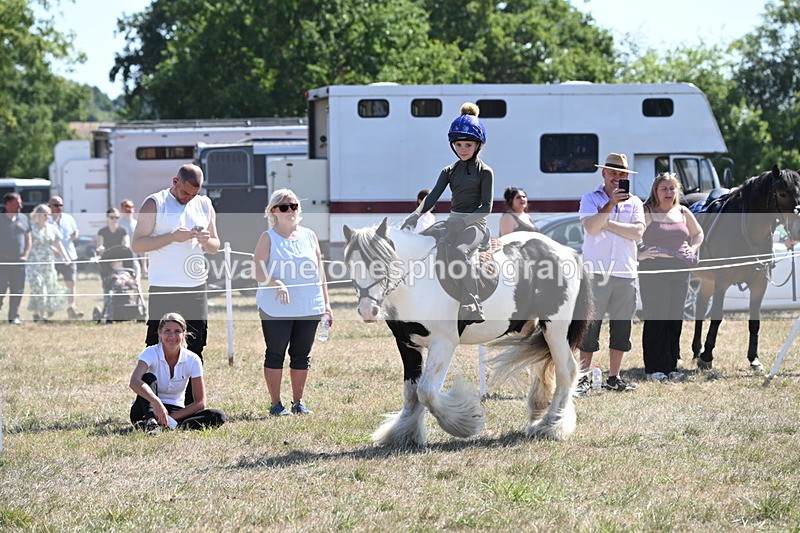 WJ6_8931 - Class 38 Ridden Riding Horse/Pony