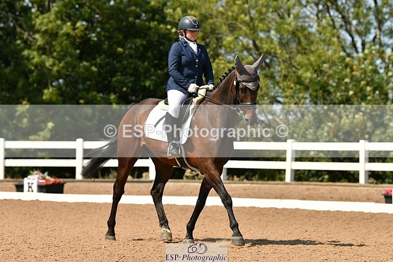 250817-133618-09991 - 033-Frankie.TorodeFirst.Impression.VI