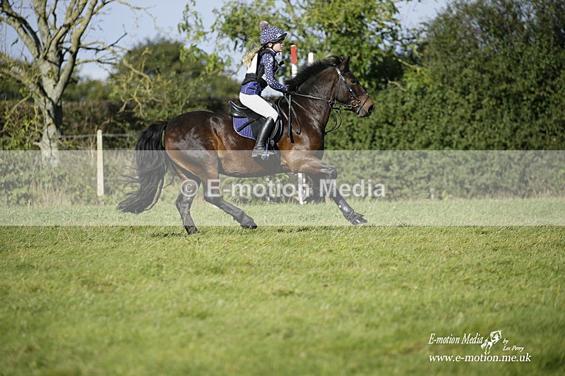  WWHT 031021 1291 - Open Novice (0.80m) 03/10/21