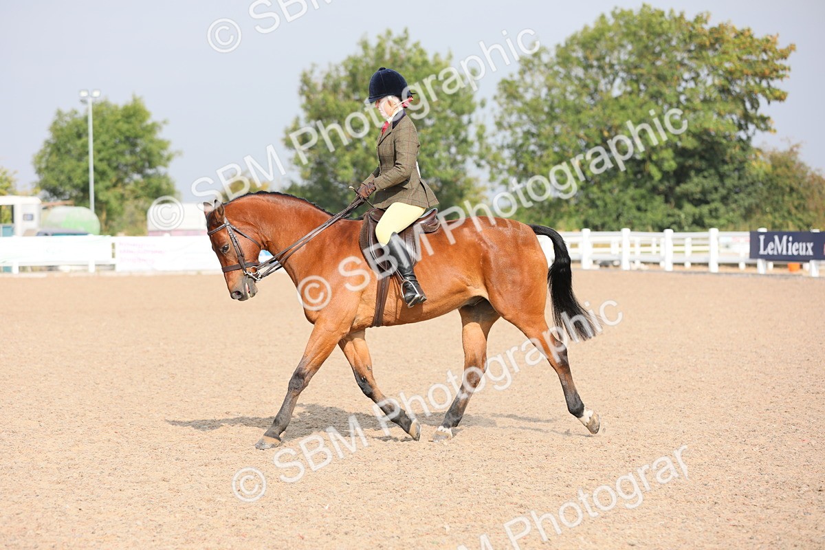 SBM_10912 - Class 304 Ridden Part Bred Horse/Pony