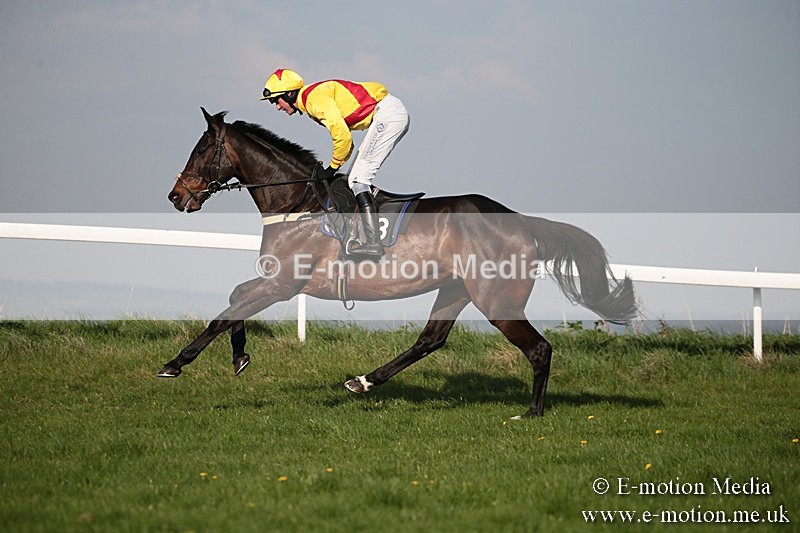 PtP 210418 563 - South & West Wilts Point-to-Point Larkhill 21/04/18