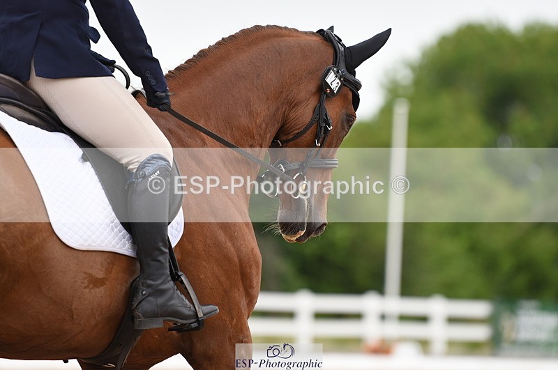 230630A-110824-00971 - Cls 4 Novice 23 Start to 11.30 break