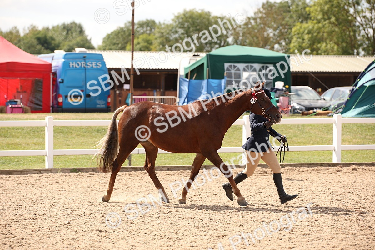 SBM_04582 - Class 20 IH Veteran