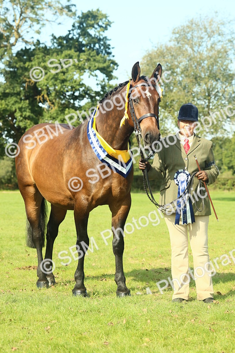 SBM_61170 - Starter Supreme Championship