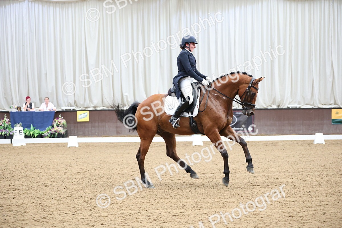 SBM_004451 - Class 9 - FEI Inter 1 Gold - 15.55-16.43