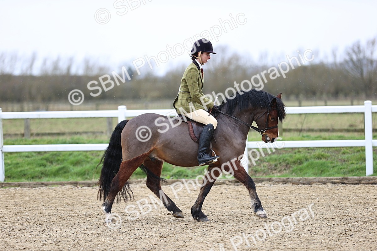 SBM_007504 - Class 31-32 - M&M Confined Novice Small-Large