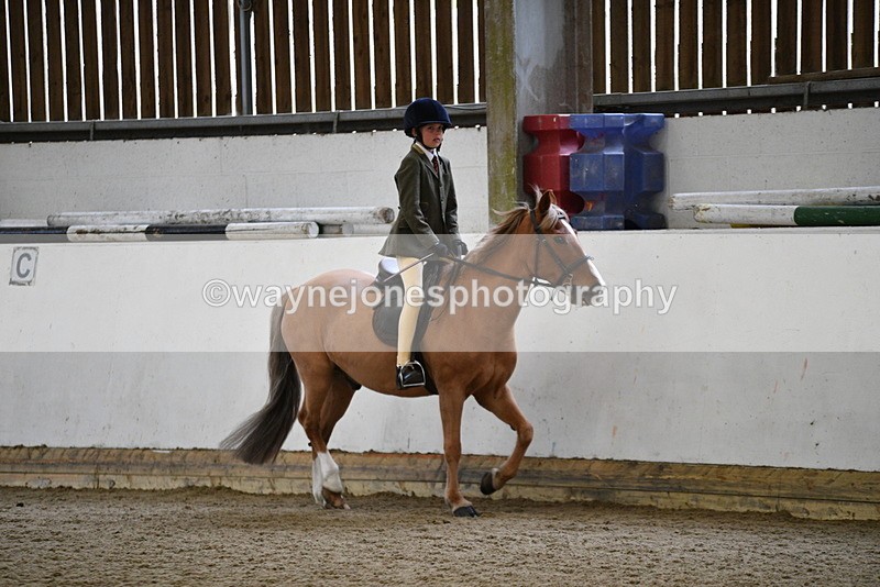 WJ5_6503 - Class 10 Childs Pony