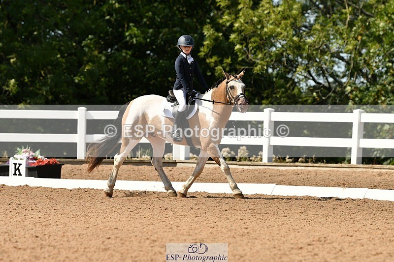 250817-144446-10255 - 172-Lilly.PapworthCammach.Wheres.Whally