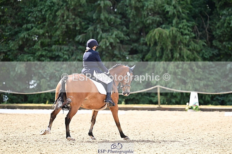 260802A-105050-05603 - Novice Silver break - break