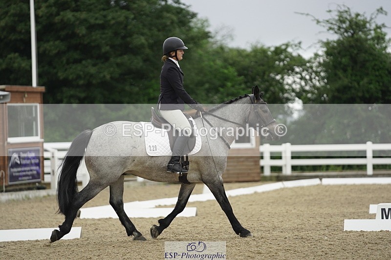 230708A-100816-00319 - Intro C