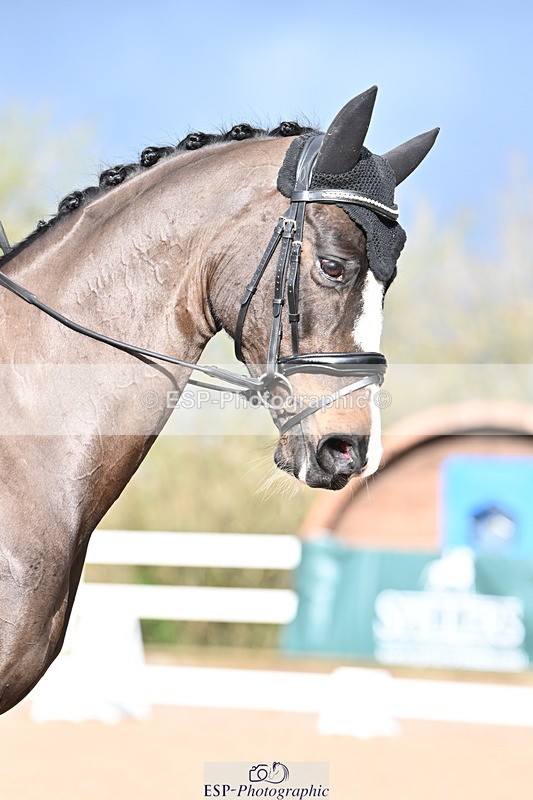 240218A-103349-05580 - 161-Katie.Warner-Active.Nuvalari