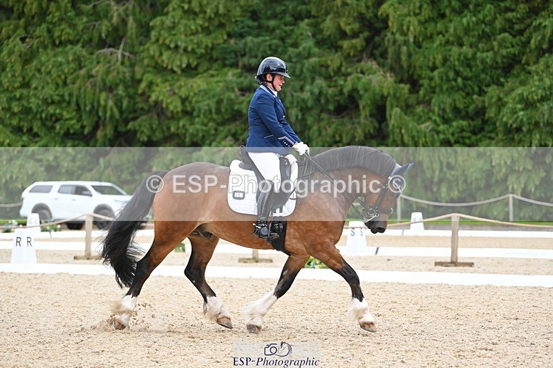 230813-142115-07738 - Cls 13 Medium Bronze 13.15 to End