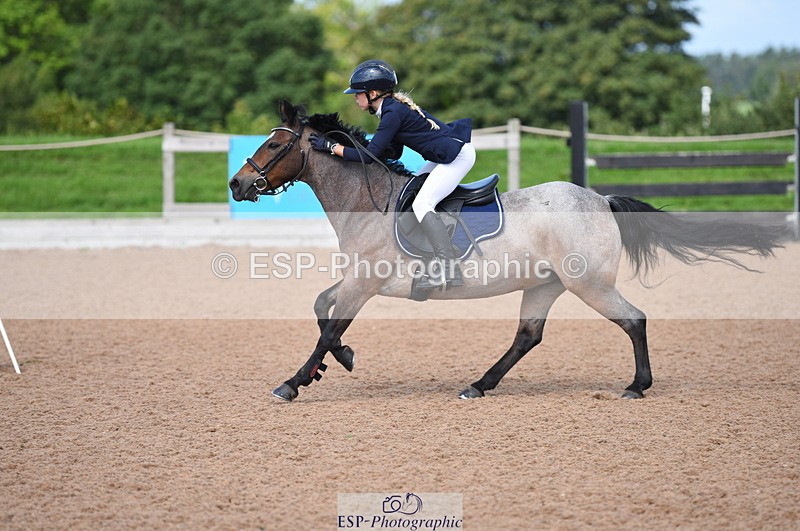 230716A-100406-01950 - Cls 35 Springboard 128cm & 138cm