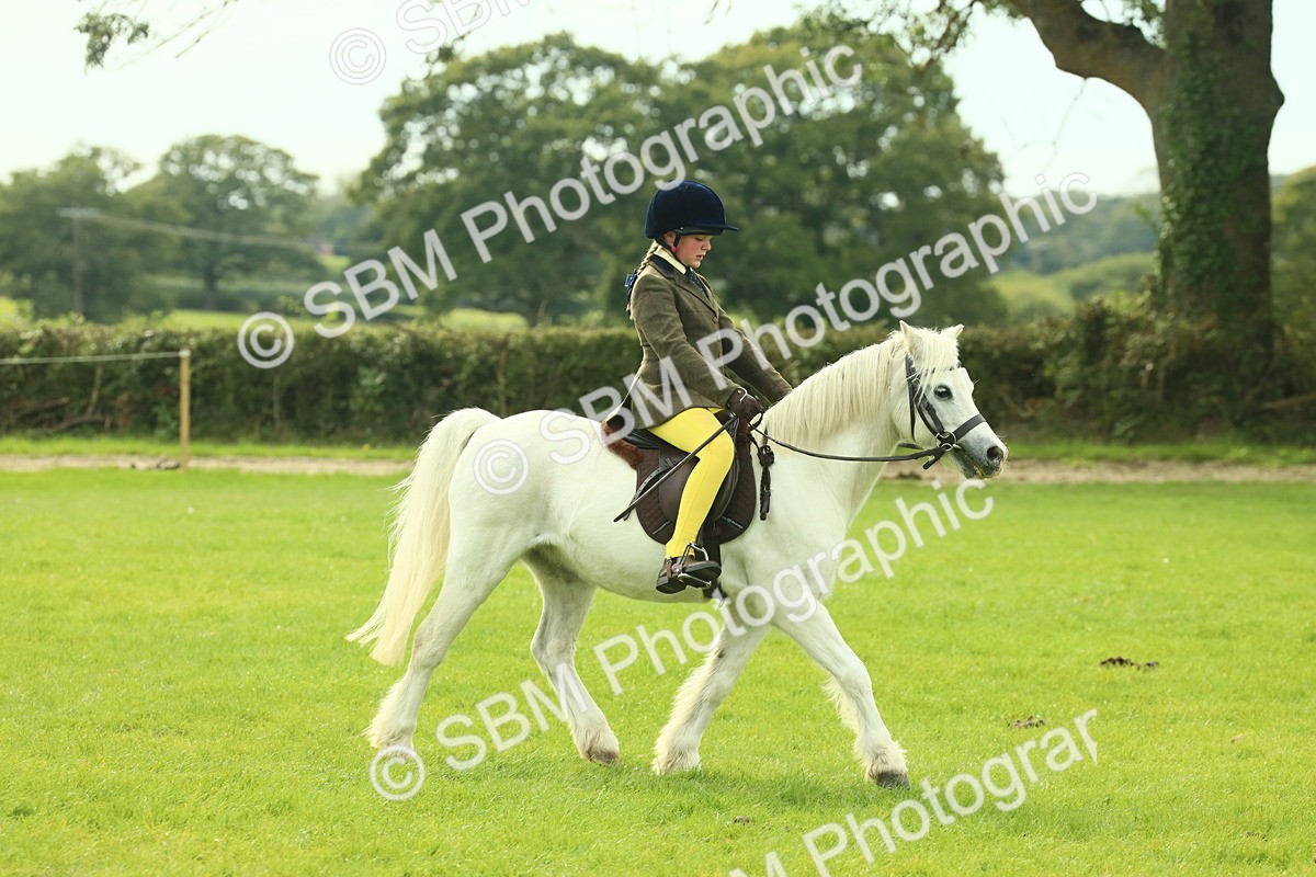SBM_69813 - S59 - Mountain & Moorland Ridden Small Breeds