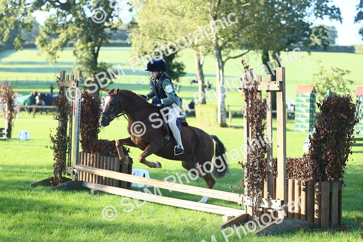 SBM_33400 - S28 - Nursery Stakes Working Hunter Pony