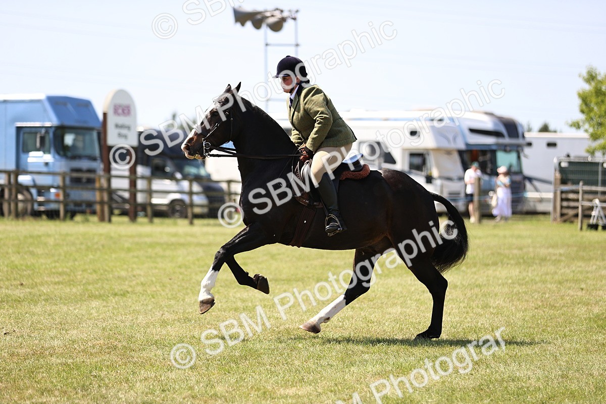 SBM_17855 - Class 81-83 - TSR Ridden Amateur of the Year - Horses