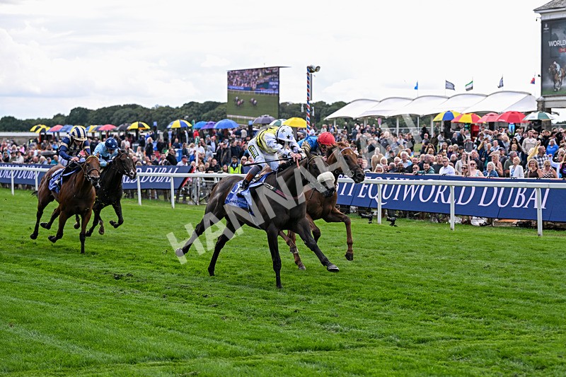 210826-Race 3-Arapaho Gold-5768 - Race 3 15.00pm Al Basti Equiworld Dubai Gimcrack Stakes