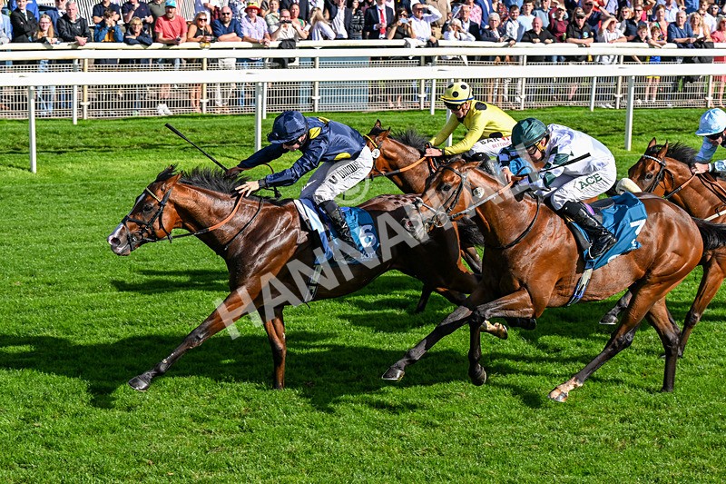 060926-Race 5-Extremely Zain-0333 - Race 5 3.50pm Starman At Tally Ho Stud Garrowby Stakes