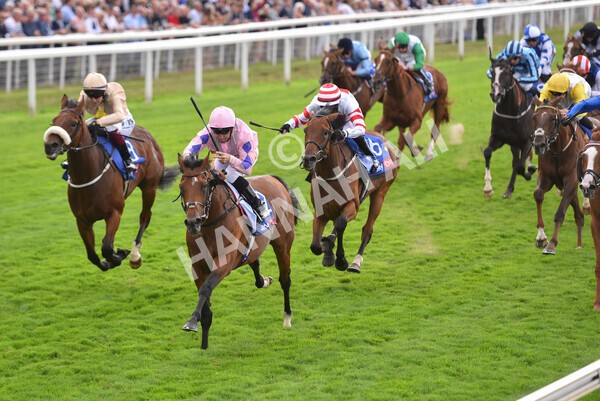 yr19082022r1-31 - Race 1 1.50pm Sky Bet Stakes