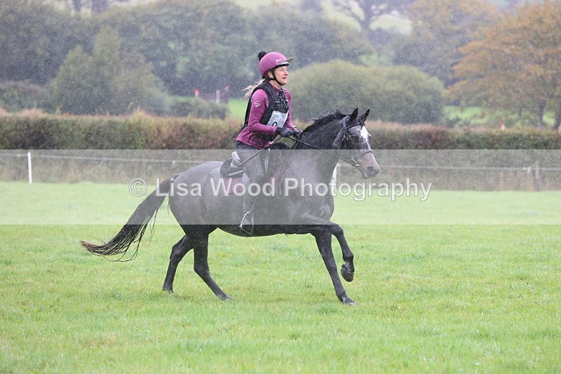 JPP_5114 - Class 1: 65cm : Showjumping