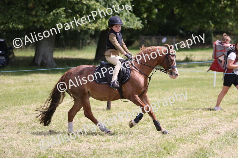 20260614-2019 - Class 21 - Novice Working Hunter Pony