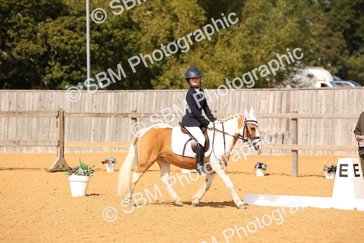 SBM_21798 - D5 - Small Tour Championship - Intro C