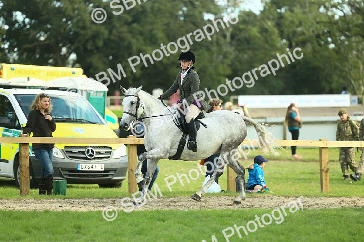 SBM_50707 - S33 - Working Hunter & Working Show Horse
