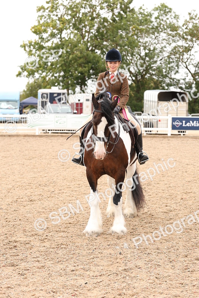SBM_19733 - Class 216 - Ridden Traditional - Native Cob