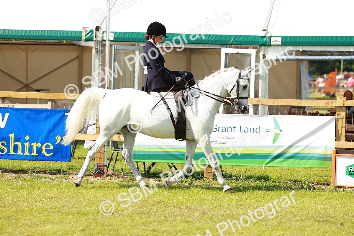 SBM_13126 - Class 70-71 - Side Saddle