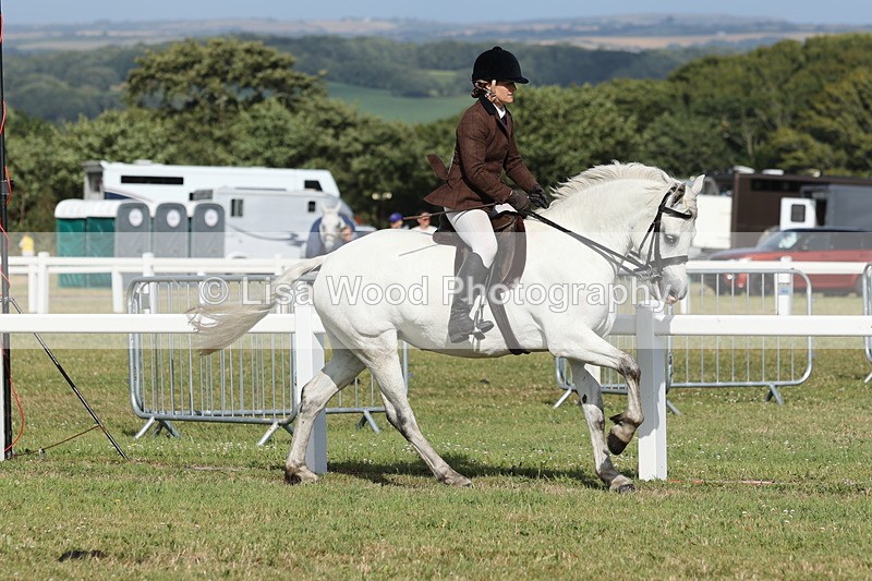 JPP_2915 - Class 20: Working Hunter 70cm