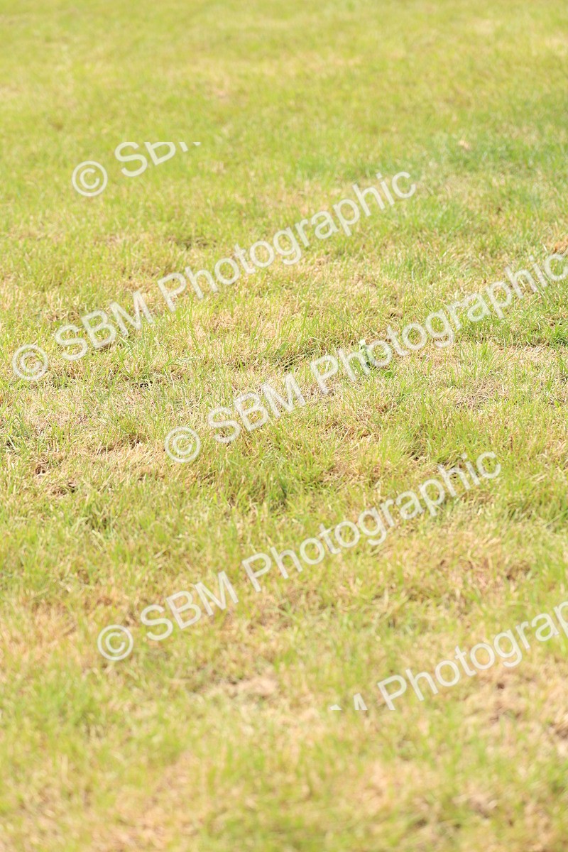 SBM_15717 - Class 207 - Senior 1.15m Open