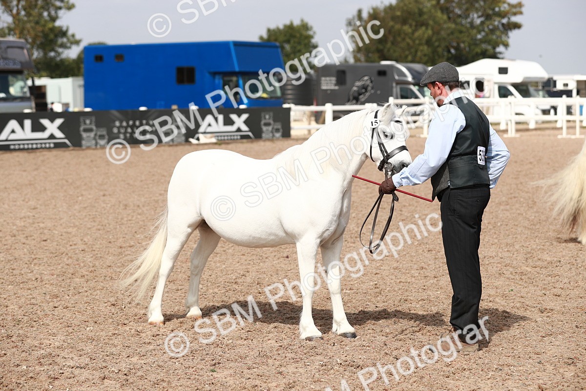 SBM_13904 - Class 209 IH Veteran Pony