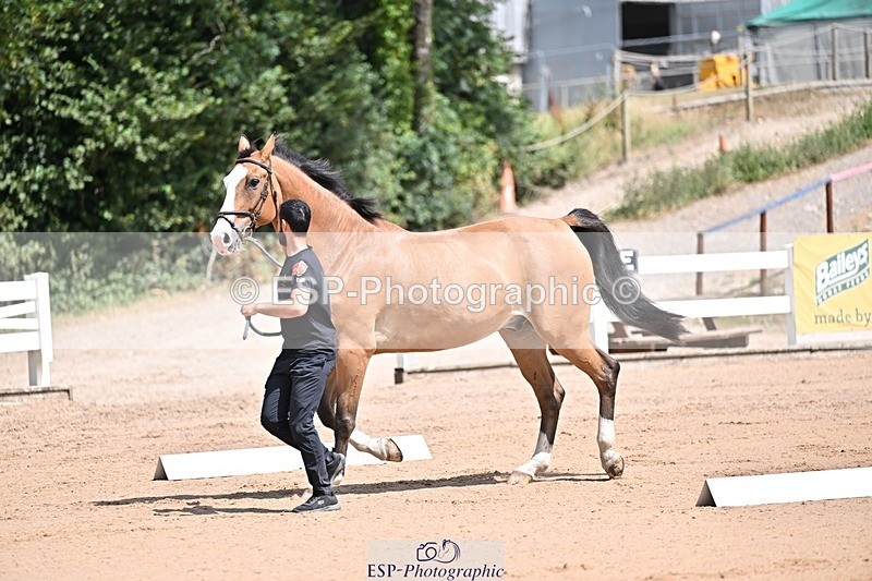 250716-125005-00192 - Trot Up 12.30 to 1.30