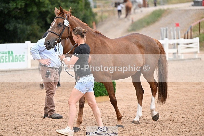 250716-143103-01161 - Trot Up 2.30 to 3.30