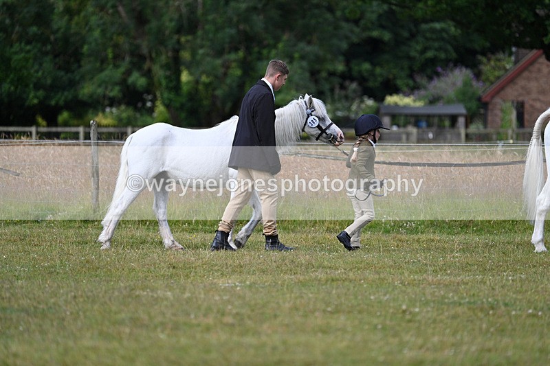 WJ7_4478 - Class 1 Lead Rein Pony
