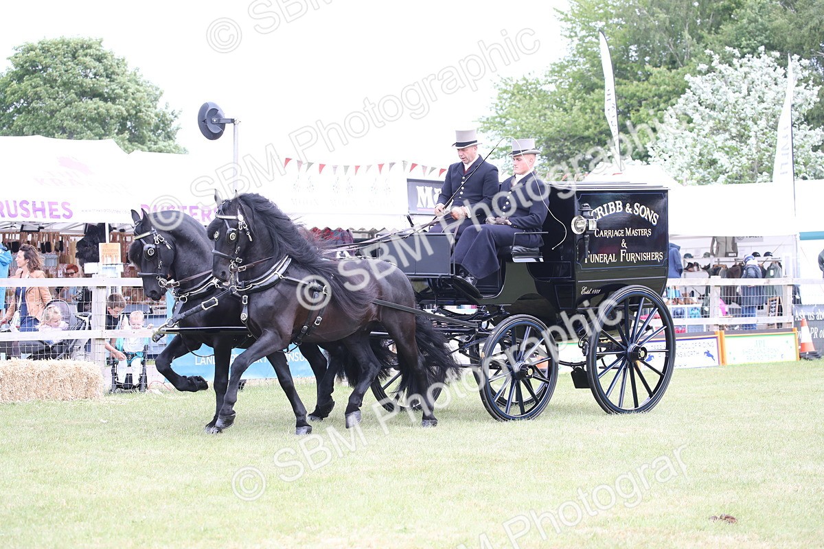 SBM_07006 - Class 16 - Light Trade