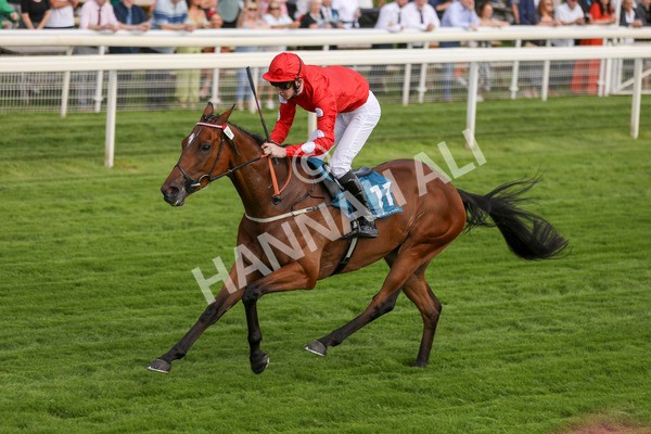 280723-Race 1-Tele Red-2675 - Race 1 5.00pm Pearly Cow Handicap