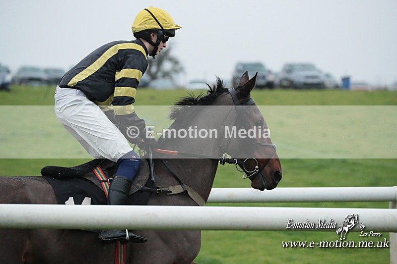PtP 031223 639 - Wheatland Hunt PtP Chaddesley Races 03/12/23