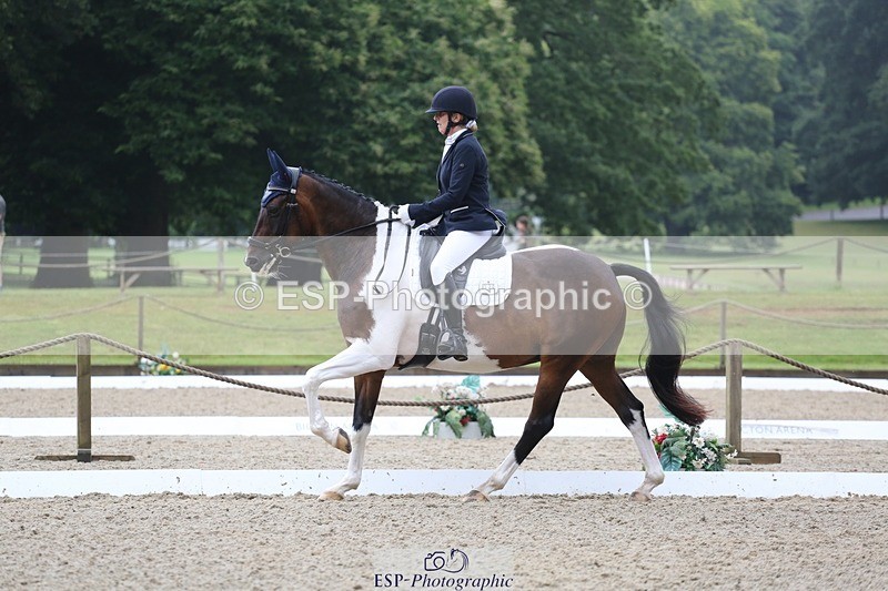 240720-145844-06276 - 124-Sophie_Savage-Two_Tone_Ted