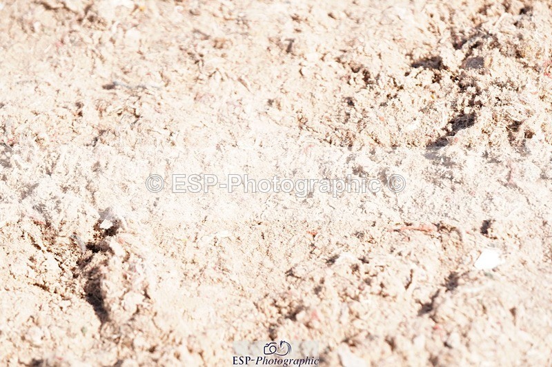 250510-093924-10093 - Cls 14 Snr 1.20m Open