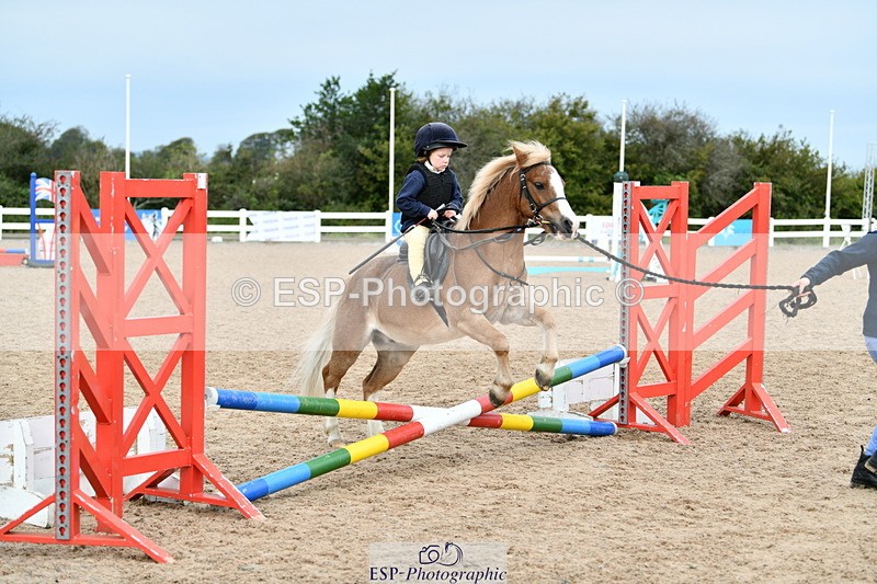 241013B-102909-00383 - Cls 2c 40cm Lead Rein