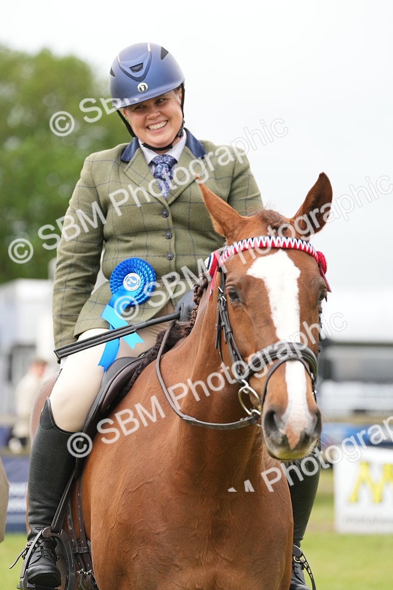 SBM_10648 - Class 97-98 - LIHS BSHA Rising Star Working Show Horse Hunter