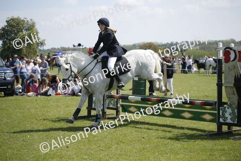 20250427-3547 - Class 14 - Absolute Novice 70cm