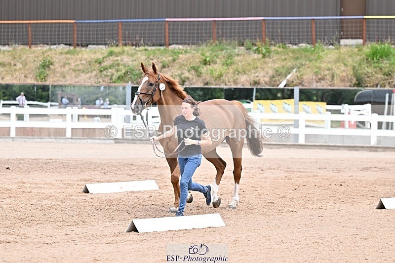 250716-134934-00677 - Trot Up 1.30 to 2.30